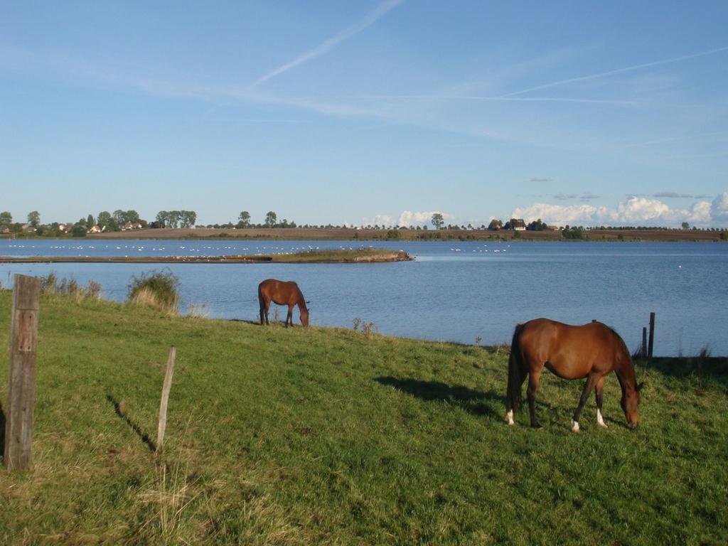 Appartementanlage Zur Seemoewe Insel Poel Eksteriør bilde